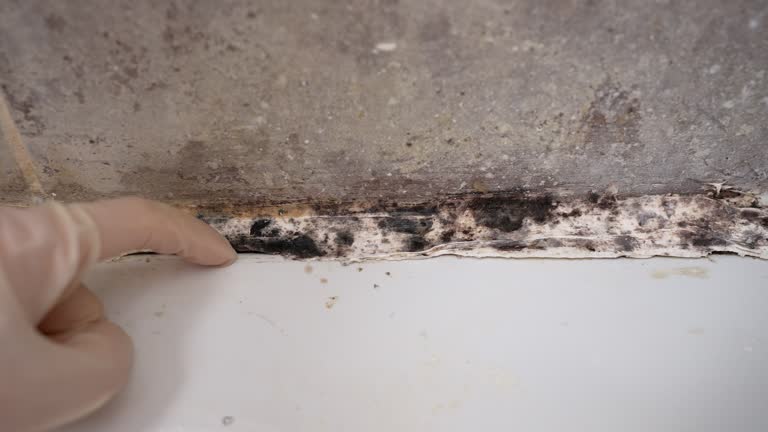 Best Air Quality Testing for Mold Spores  in Kiefer, OK